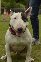 Marley